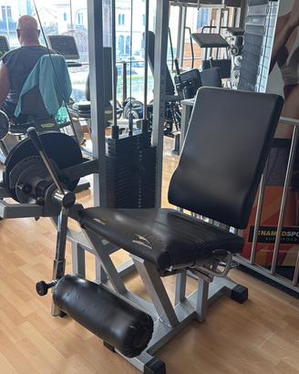 Leg extension technogym silver