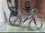 Immagine 4