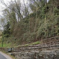 BOSCO di mq. 2.305,00