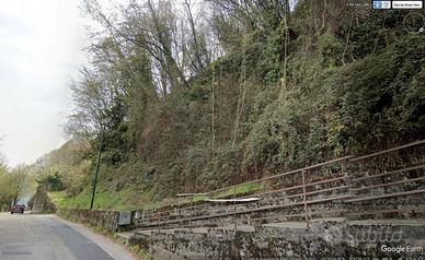 BOSCO di mq. 2.305,00