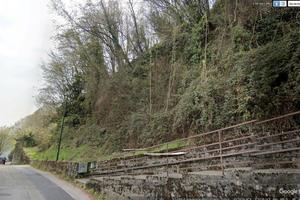 BOSCO di mq. 2.305,00