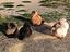 Immagine 3