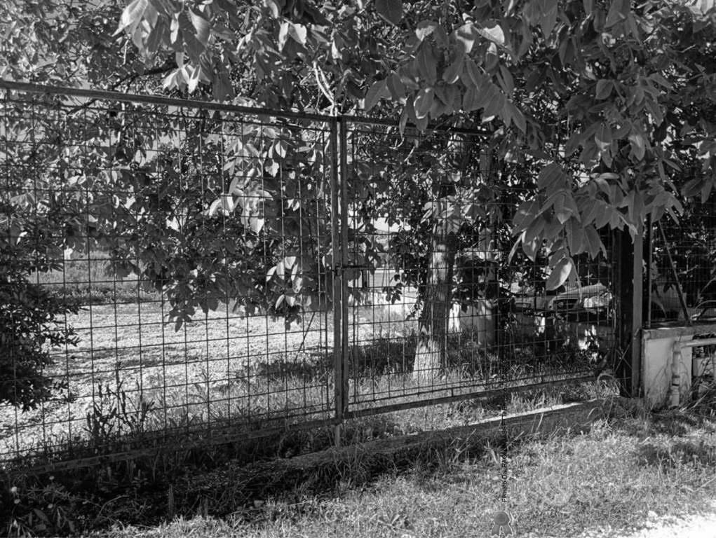 Immobile in asta di 878 m² a Gualdo Tadino - Vista 2