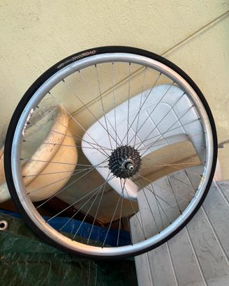 Ruota campagniolo
