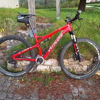 specialized epic 29''