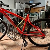Bicicletta