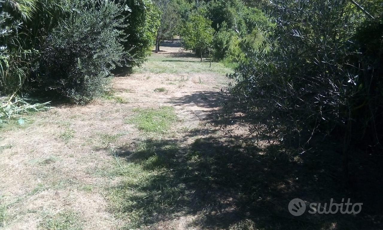 TER. AGRICOLO A TREVIGNANO ROMANO - Vista 6