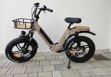 Bici assistita Hp Bike