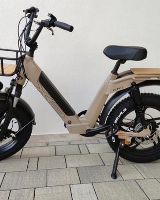 Bici assistita Hp Bike