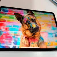 Apple iPad Pro 3a gen M1 128Gb WiFi + Pencil