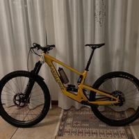 Santa cruz bronson cc