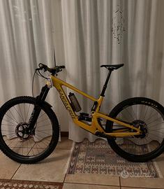 Santa cruz bronson cc