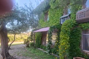 loft in borgo agricolo a Cerveteri 6 km mare 