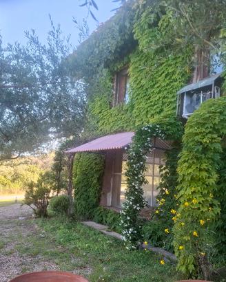 loft in borgo agricolo a Cerveteri 6 km mare 