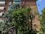 Immagine 12