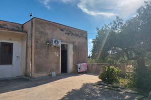 RGE 9/2023 Trib Trapani