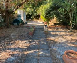 Bilocale a Palinuro con terrazzo e giardino