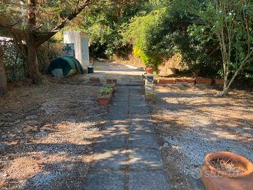 Bilocale a Palinuro con terrazzo e giardino