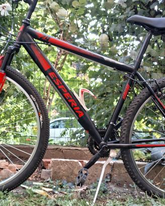 bici mtb 29