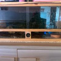 Teca rettili con accesori