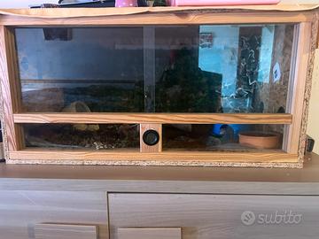 Teca rettili con accesori