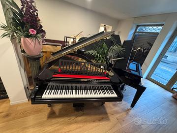 Pianoforte a coda Steinbach GRATIS