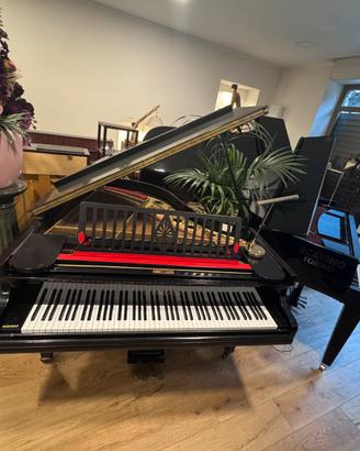 Pianoforte a coda Steinbach GRATIS