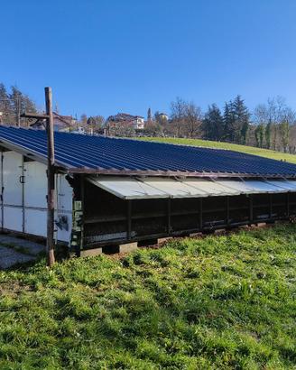 Pollaio professionale 250 galline ovaiole