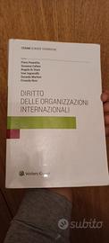Diritto delle organizzazioni internazionali