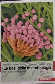 Le basi della Microbiologia