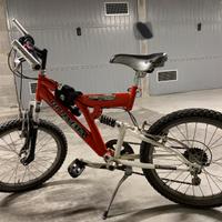 MTB biammortizzata 24