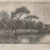 Quadro Gaspare Gambi - Pineta Ravenna - N^1