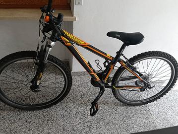 mountain bike 26 pollici 