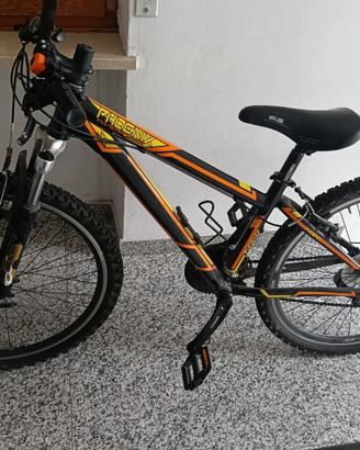 mountain bike 26 pollici 