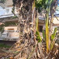 Villetta angolare con grande giardino e garage