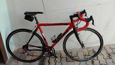 Bici da corsa Tabarin Campagnolo Tg 48/50 