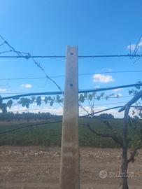 pali in cemento per vigneto 