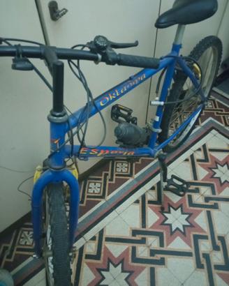bici adulto