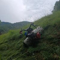 animali bcs  ruote inox ferrari bertolini 