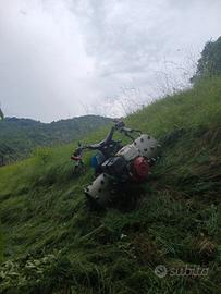 animali bcs  ruote inox ferrari bertolini 