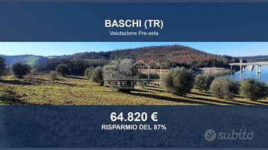 Immobile in asta di 37170 m² a Baschi