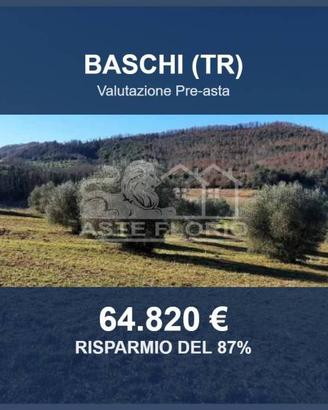 Immobile in asta di 37170 m² a Baschi