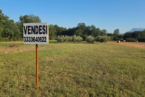 Terreno agricolo con uliveto