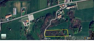 Terreno bosco Montello