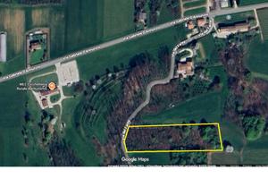 Terreno bosco Montello