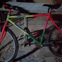 bicicletta 