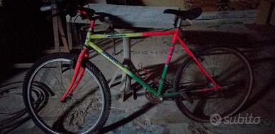 bicicletta 