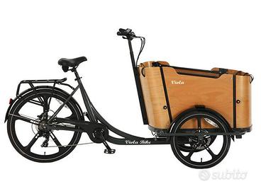 Cargo Bike Curvy