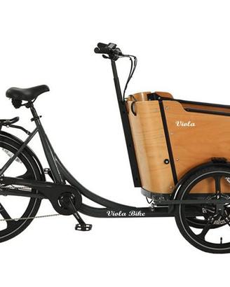 Cargo Bike Curvy