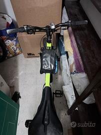 Bicicletta donna